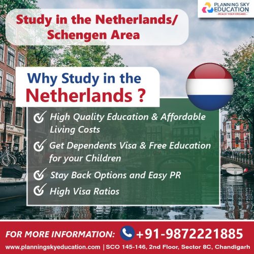 The Ultimate Guide to Studying in Netherlands in 2025